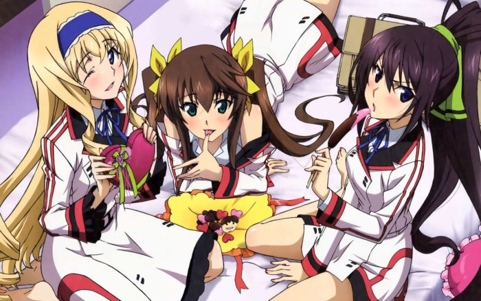 IS Infinite Stratos Season 2