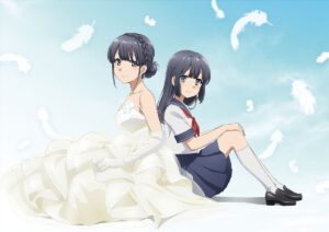 Seishun Buta Yarou wa Yumemiru Shoujo no Yume wo Minai Sub Indo