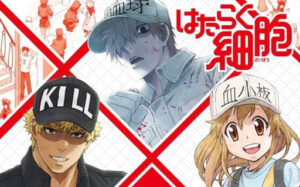 Hataraku Saibou!! Sub Indo