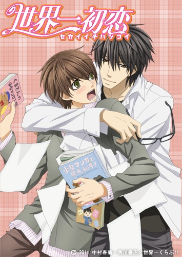 Sekaiichi Hatsukoi Sub Indo